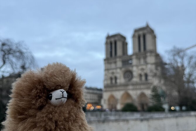 Paris Private Guided Walking Tour with Notre-Dame Outdoor - Insights from Reviews