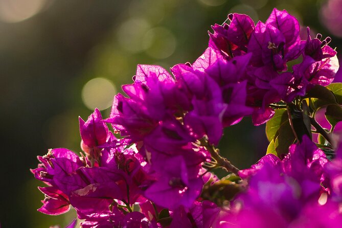 Photo Walking Tour in Sitges - Practical Tips for Participants