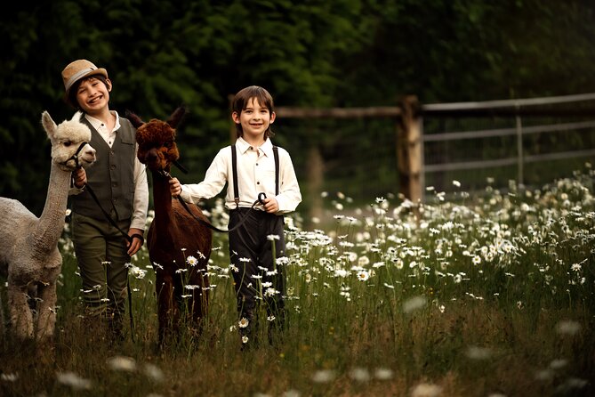 Photoshoot with Alpacas and Farm Experience near Seattle - The Sum Up