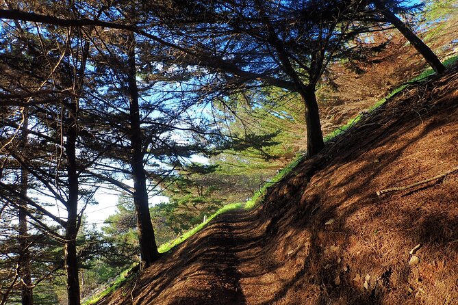 Pico do Facho Panoramic Trail - Authentic Experiences & Unique Highlights