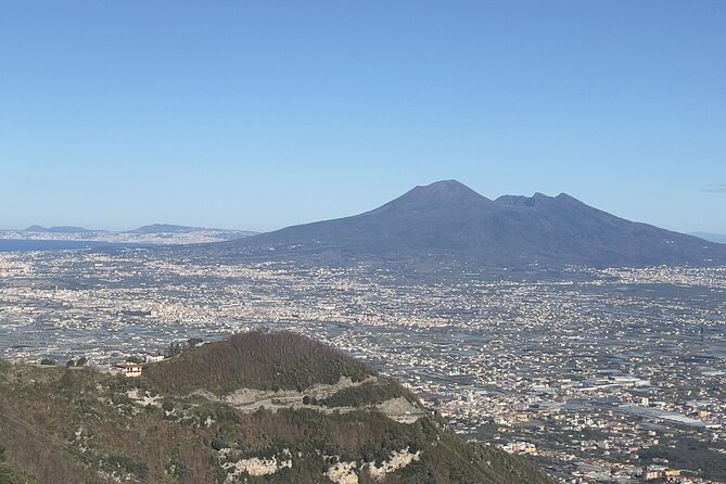Pompeii & Vesuvius with Lunch & Wine Tasting from Amalfi Coast - Who Will Love This Tour?