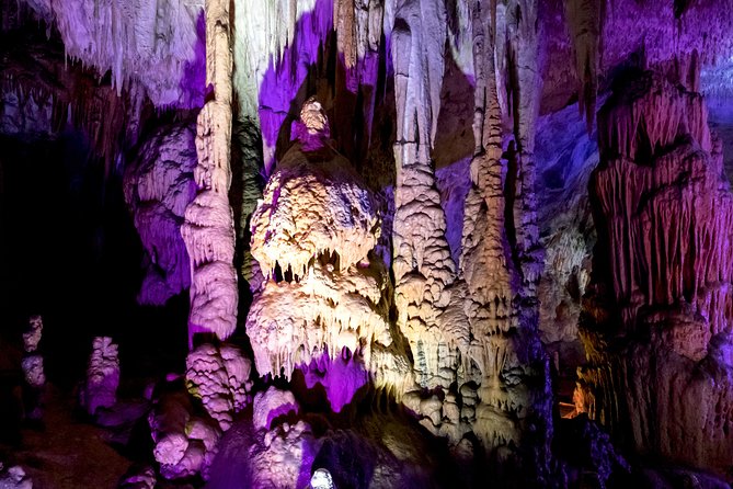 Postojna cave & castle | Private off cruise excursion from Koper - Why This Tour Might Be Perfect for You