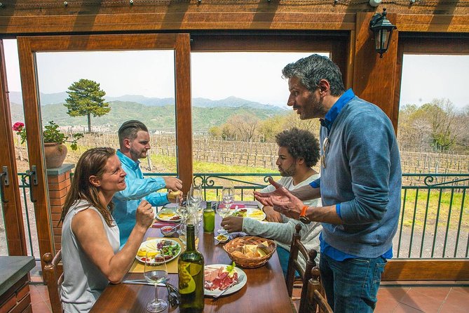 Private 8-Hour Tour of Four Etna Wineries with Tasting - Tasting and Food Pairings: A Flavourful Journey