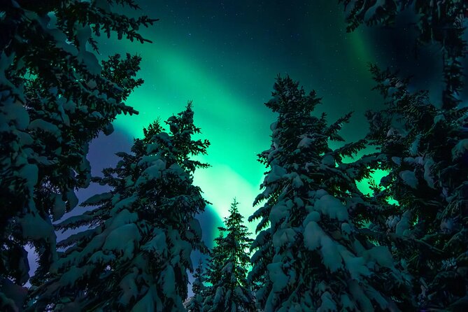 Private Aurora Hunting with Professional Photographer from Alta - Who Should Consider This Tour?