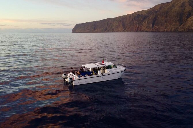 Private Cruise to Calheta and Caniçal Coasts - Practical Details and Tips