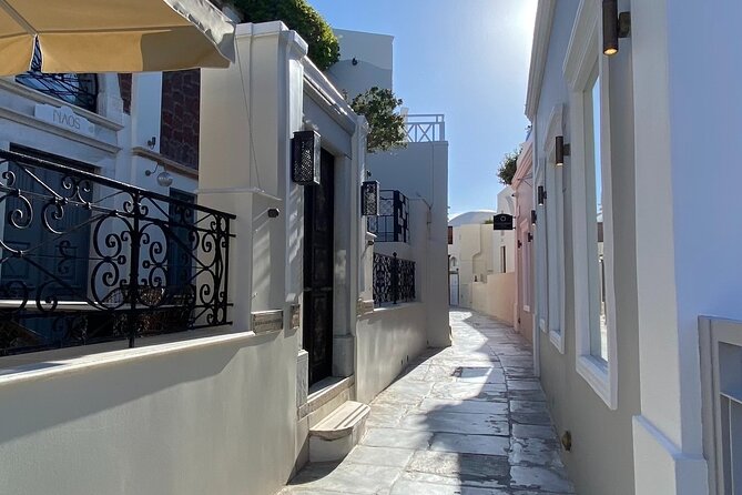 Private Customizable Tour to Explore Santorini - The Comfort of Private Transportation