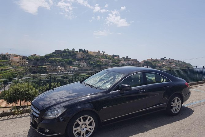 Private day tour to Pompei ,winery, Sorrento from Napoli/Salerno/Amalfi/Positano - Transportation and Timing