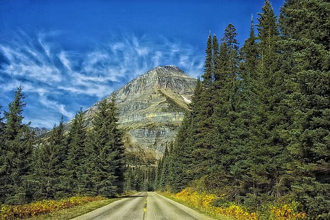 Private Day Tour to Yosemite National Park - Who Should Consider This Tour?