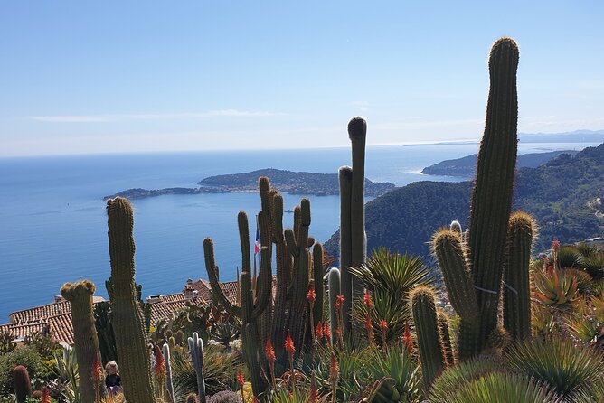 Private Day Trip Italian Riviera - Practical Details and What It Means for Travelers