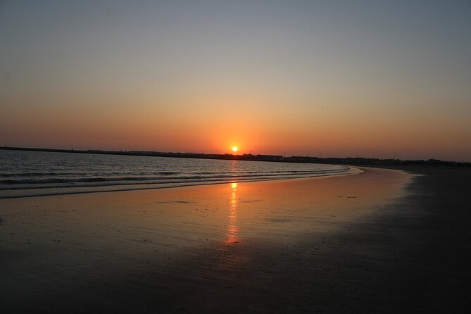 Private Day Trip to Jerez and Cádiz from Seville - Why This Tour Offers Real Value