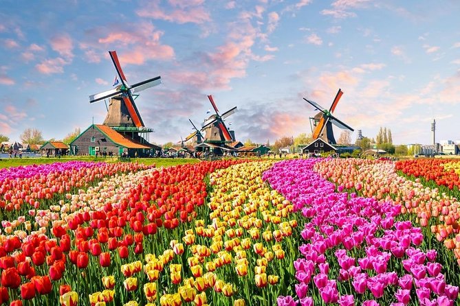 Private Day Trip to Zaanse Schans, Volendam & Marken from Amsterdam - Final Thoughts