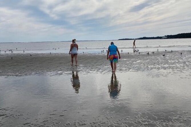 Private Disappearing Island Dolphin Tour - What Reviewers Say