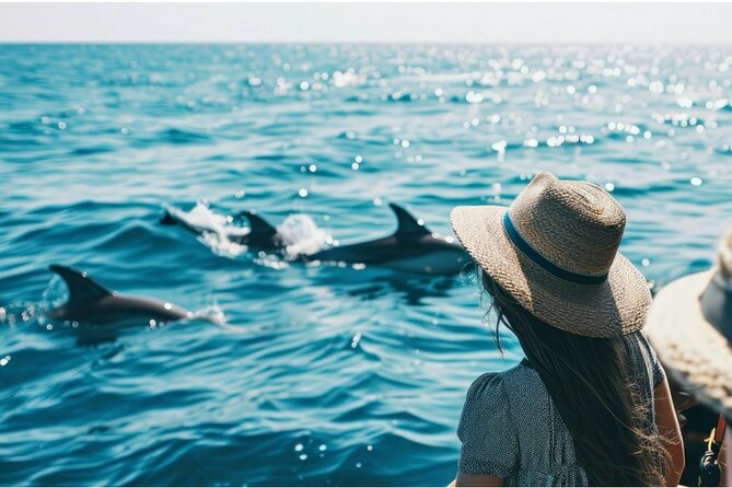 Private Dolphin Cruise in Panama City Beach - What to Expect from the Itinerary