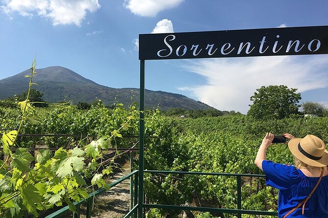 Private Educational Wine Tour, dedicated sommelier and trasport - Why This Tour Offers Great Value