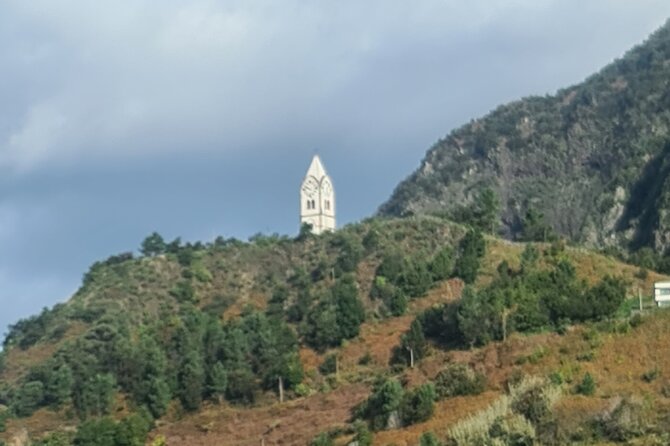 Private Full Day Island Tour in Madeira - What Makes This Tour Stand Out