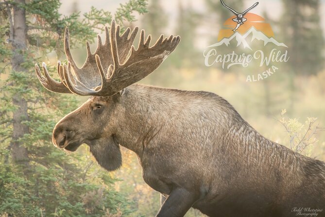 Private Full Day Photography Workshop of Fairbanks - How the Day Unfolds