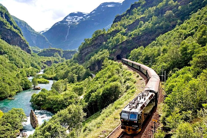 Private Full Day Trip From Oslo To Bergen with Sognefjord And Flam Railway - What to Expect on This Norwegian Day Trip