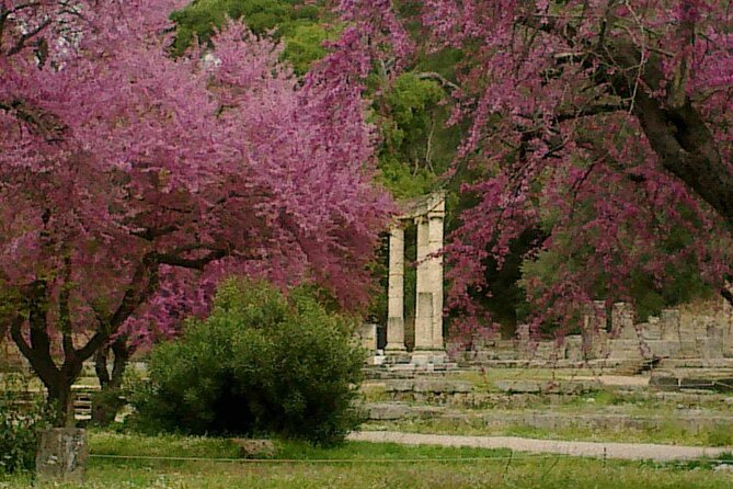 Private Guided Tour of the Archaeological Site and Museum of Olympia - Highlights of the Archaeological Museum of Olympia