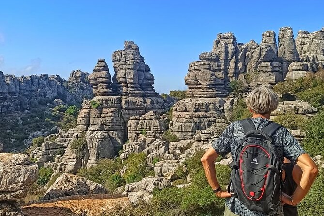 Private Guided Tour to Torcal de Antequera - The Experience in Detail