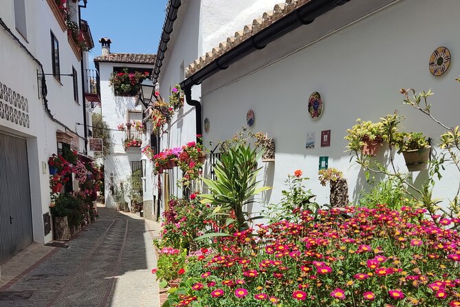 Private half-day tour of Ronda and the White Villages with native - What’s Included and What’s Not  
