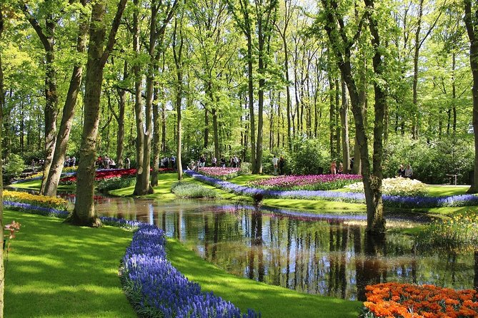 Private Half-Day Trip From Amsterdam to The Tulip Fields in Keukenhof - Who Will Love This Tour?