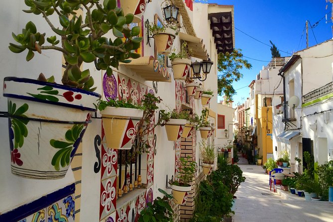 Private Half-Day Walking Tour of Alicante - The Experience on the Ground