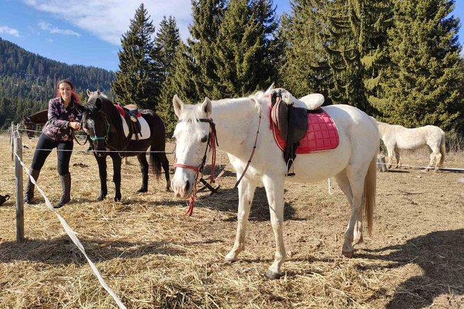 Private Horseback Riding the Rila Range - Practical Details and Tips
