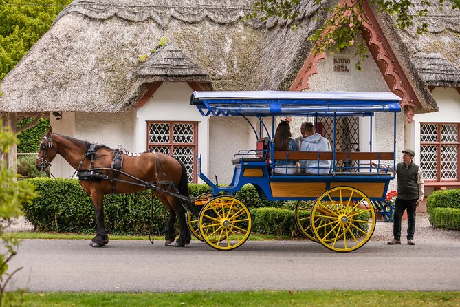 Private Jaunting Tour and Afternoon Tea in Killarney - Practical Details