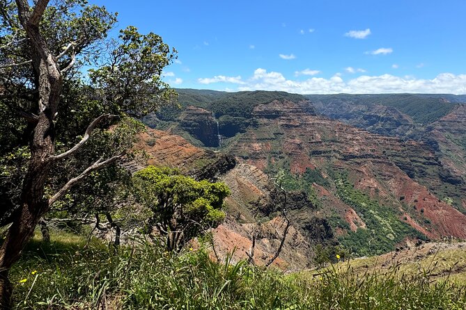 Private Kauai Island Tour : Waimea Canyon, Kalalau Lookout + More - The Experience: Comfort, Timing, and Personalization