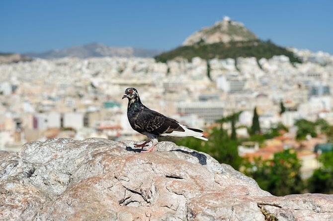 Private Luxury Biblical Tour: Apostle Paul in Athens & Corinth - Practical Aspects and What You’ll Love