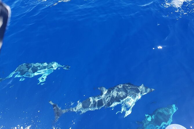 Private Luxury Sailboat Charters of Honolulu - Who Will Love This Experience?