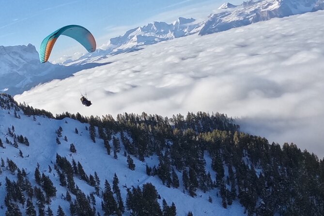 Private Paragliding Tandem flight Dolomites Alps Kronplatz - The Details That Make a Difference