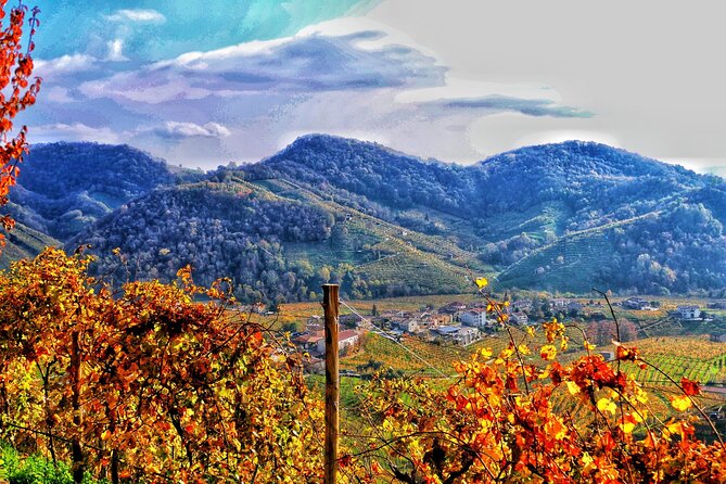 Private Prosecco Tour, with a certified Sommelier - Analyzing the Cost and Value