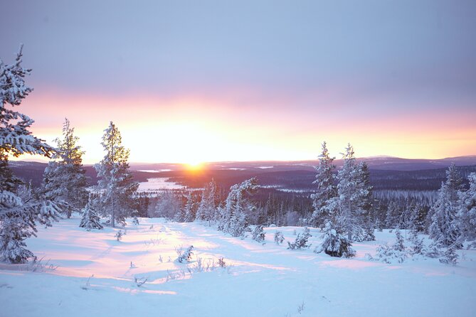 Private: Snowshoeing Safari in spectacular National Park - Why This Tour Offers Great Value