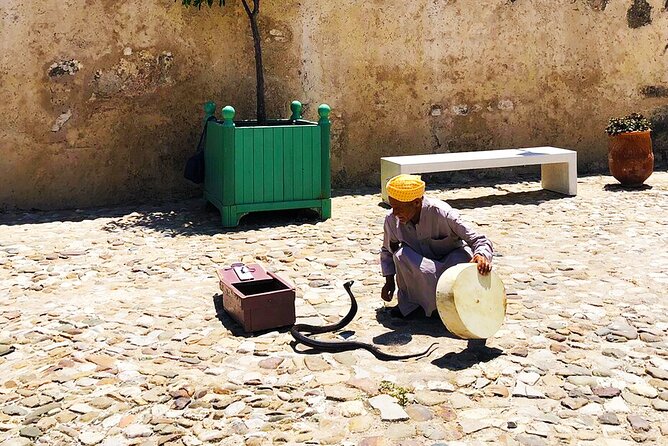Private Tangier Full day Tour - Practical Tips to Make the Most of Your Day