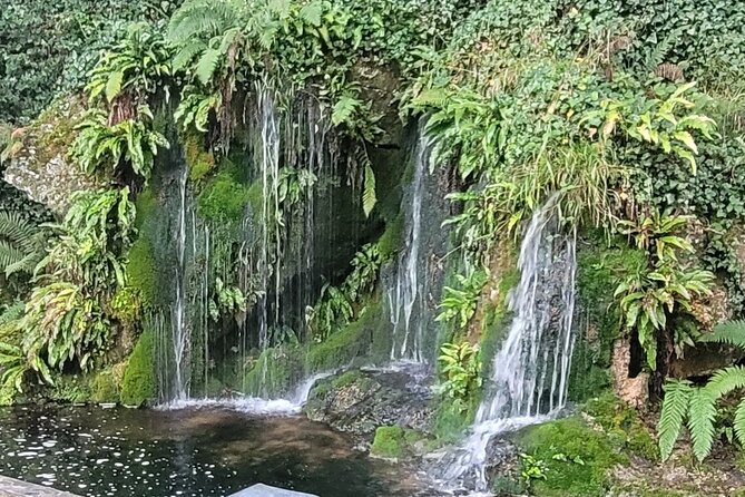 Private Taxi Tour of Blarney Castle ,Cork ,Kinsale 5 Star Rated - What Does the Experience Offer That Others Might Not?