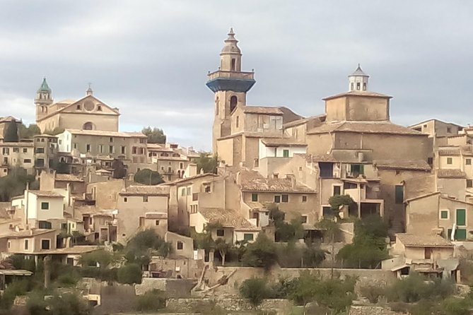 Private tour for my family from a cruise - The Real Value: Is It Worth the Price?