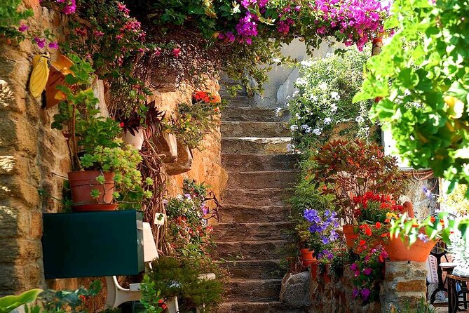 Private Tour from Saint-Tropez to the flowers city - Final Thoughts: Is It Worth the Price?