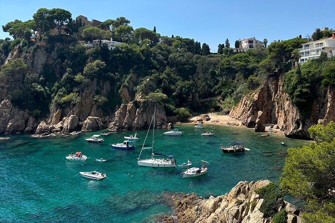 Private Tour in Marimurtra Garden and Blanes City - Practical Tips for Making the Most of the Tour