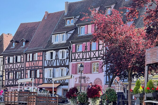 Private Tour of Basel and Alsace Region from Zurich - What Makes This Tour Stand Out?