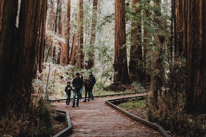 Private Tour of John Muir Redwoods and Sausalito - Practical Details and Considerations