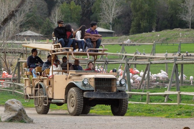 Private Tour of Sonoma Wild Safari Animal Park and Sonoma Redwoods - Who Will Love This Tour?
