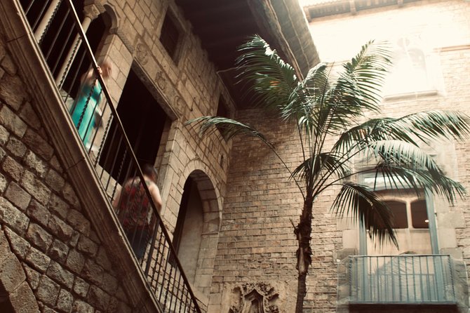 Private Tour of the Picasso Museum - Why This Tour Works for You