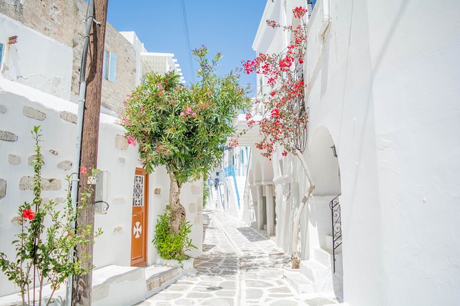 Private tour: Paros highlights 6 hours - Detailed Breakdown of the Itinerary