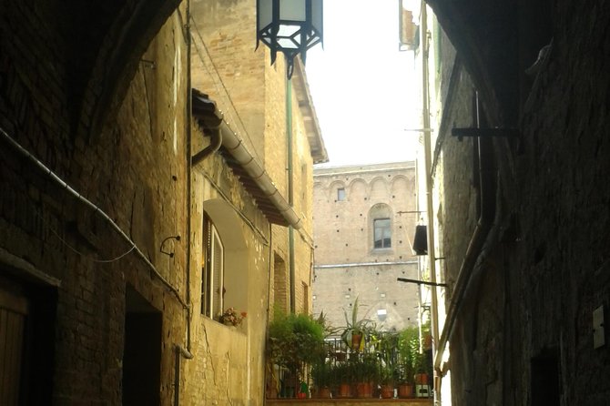 Private Tour: Siena Walking Tour - Exploring Siena in Two Hours: What to Expect