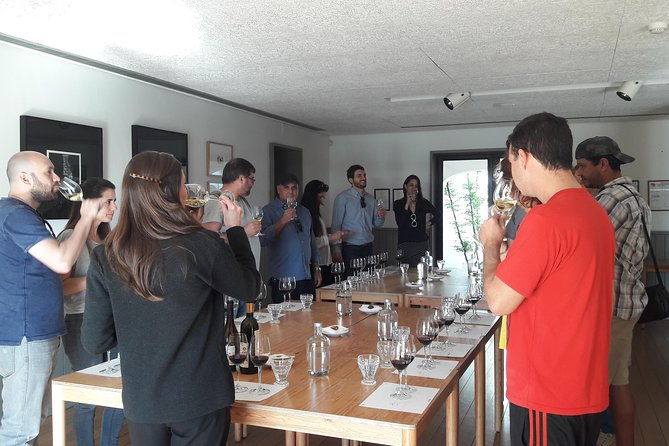 Private Tour Wine (region Évora) Wine Tasting - Potential Drawbacks and Considerations