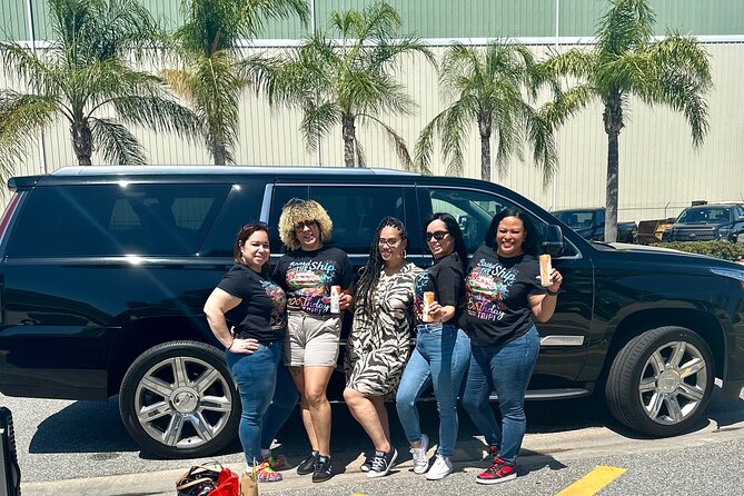 Private Transfers from Disney Resort Area to Port Canaveral - Why This Transfer Service Works for You