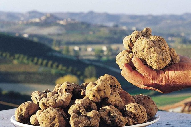 Private Truffle Hunt in Tuscany - Final Thoughts: Is It Worth It?