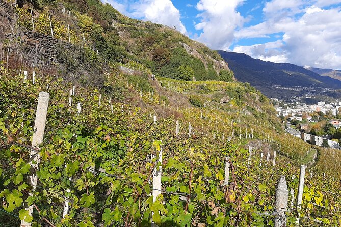 Private Wine Tour: Terraced Vineyards with Alpine view from Milan - The Itinerary in Detail