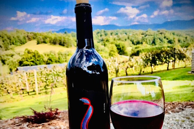Private Wine Tour with Dine in Black Mountain from Asheville - Who Should Consider This Tour?